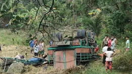 Camión cae por un precipicio y deja 15 muertos