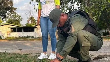 Detienen a sujeto por transportar 40 iguanas en un bolso (+Fotos)
