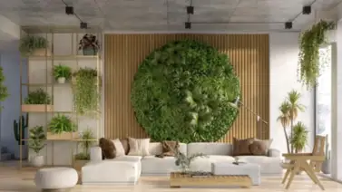 Cubre de verde tus espacios verticales Cubre de verde tus espacios verticales