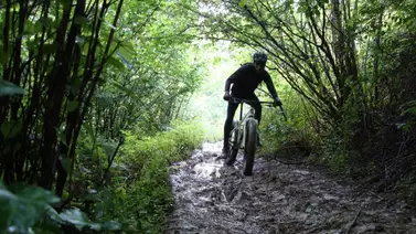 EEUU: Animal salvaje ataca grupo de ciclistas EEUU: Animal salvaje ataca grupo de ciclistas