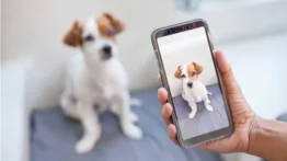 ¿Mascotas influencers?: Este perro demuestra habilidades a sus seguidores (+Videos)