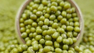 Conozca los granos que más se producen en Venezuela