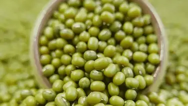 Conozca los granos que más se producen en Venezuela Conozca los granos que más se producen en Venezuela