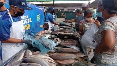 Más de 50 especies de pescado se han comercializado en ferias de Miranda