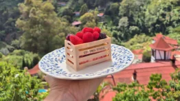Fragolate incorpora las creaciones de la pastelera venezolana Angelica Locantore