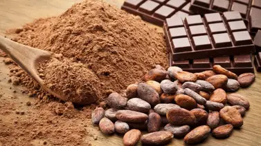Chocolate como aliado de la cosmética Chocolate como aliado de la cosmética