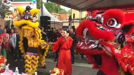 Dragón 2024| Caraqueños celebraron el Año Nuevo Chino (+FOTOS)