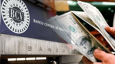 Dólar BCV Venezuela: Así se cotiza la moneda estadounidense este #7Dic