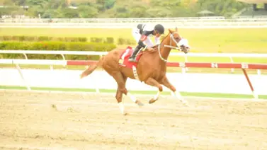 Anatolia va por la repetida en La Rinconada Anatolia va por la repetida en La Rinconada