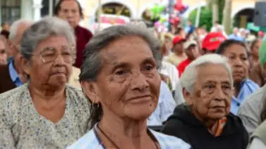 Gobierno aprueba nuevas pensiones de 100% Amor Mayor en febrero Gobierno aprueba nuevas pensiones de 100% Amor Mayor en febrero