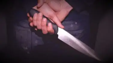 Sexagenario acabó con su vida tras apuñalar a su pareja Sexagenario acabó con su vida tras apuñalar a su pareja