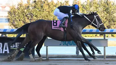 Tremendo triunfo de jockey venezolano en final clasificatoria al Kentucky Derby Tremendo triunfo de jockey venezolano en final clasificatoria al Kentucky Derby