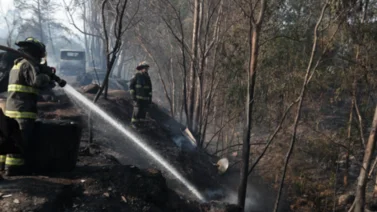 Chile| Se eleva número de víctimas por incendios