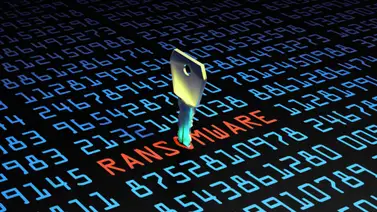 Último Minuto: La cifra millonaria que piden los hackers a Digitel para liberar datos secuestrados Último Minuto: La cifra millonaria que piden los hackers a Digitel para liberar datos secuestrados