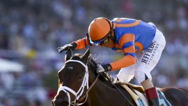 Holy Bull Stakes, ¿una carrera de suerte?