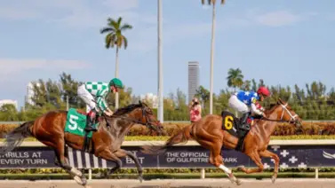 Carreras internacionales que podrás ver este sábado (+en vivo) Carreras internacionales que podrás ver este sábado (+en vivo)