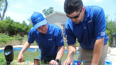 Texas lanza empleo de hasta $7.500 al mes sin experiencia Texas lanza empleo de hasta $7.500 al mes sin experiencia