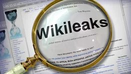 Caso Wikileaks| Condenan a ex integrante de la CIA (+Sentencia)