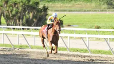 Condicional Especial de gran clase en La Rinconada Condicional Especial de gran clase en La Rinconada
