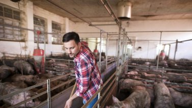 Los empleos con buenos salarios que nadie quiere hacer en EEUU