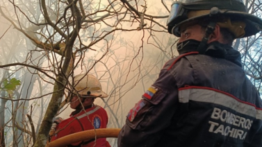 Táchira atiende incendios forestales: Sepa más