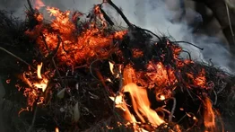 Imagen de una Virgen quedó intacta tras voraz incendio en Colombia