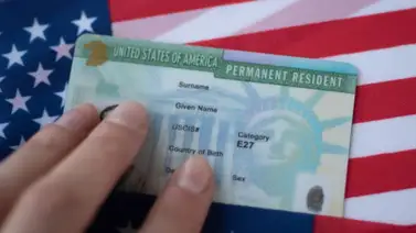 Green Card: Esta es la sanción si te paran y no la tienes Green Card: Esta es la sanción si te paran y no la tienes