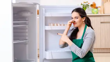 Preparación casera para eliminar el mal olor de la nevera Preparación casera para eliminar el mal olor de la nevera