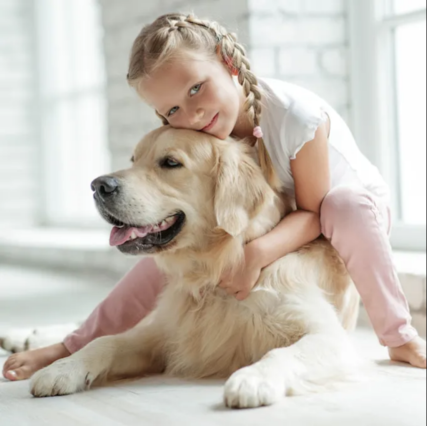 Razones para castrar o esterilizar a tu mascota Razones para castrar o esterilizar a tu mascota
