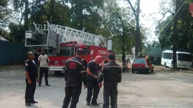 Bomberos de Barinas registra este número de  incendios forestales