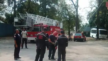 Bomberos de Barinas registra este número de incendios forestales Bomberos de Barinas registra este número de incendios forestales