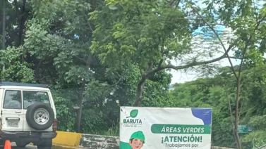 ¿Están pintando de verde el césped seco en Baruta? Alcalde Darwin González reacciona a la polémica