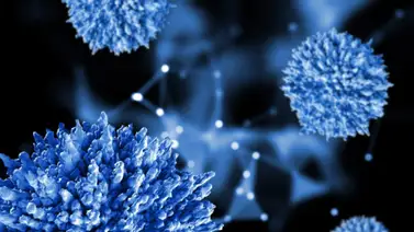 Conoce la variante Eris, posible responsable del rebrote de COVID-19 Conoce la variante Eris, posible responsable del rebrote de COVID-19