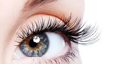 Aceite natural para hacer crecer las pestañas Aceite natural para hacer crecer las pestañas