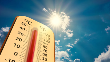 ¿Será más caluroso?: Esto dicen los expertos de las temperaturas para 2024