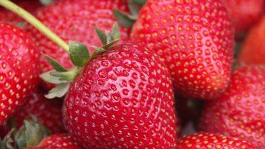 Deliciosas recetas con fresas