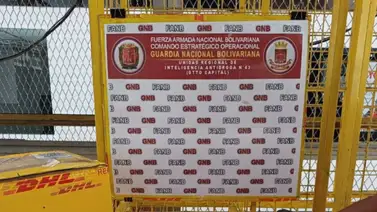 Incautan más de 250 pastillas de éxtasis destinadas a EEUU Incautan más de 250 pastillas de éxtasis destinadas a EEUU