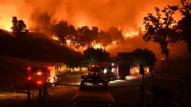 Incendio masivo arrasa con más de mil hogares: Sepa más Incendio masivo arrasa con más de mil hogares: Sepa más