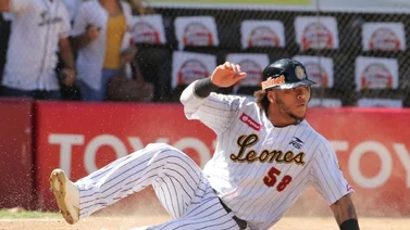 LVBP: En Leones del Caracas todavía esperan a Harold Ramírez