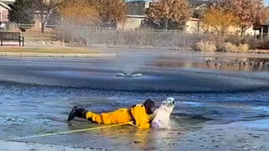 EEUU| Bombero rescata a canino entre el hielo (+Video)