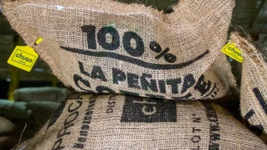 Venezuela envía cargamento de café a Japón (+Detalles)