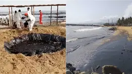 Reportan rastros de petróleo en playa de Aragua