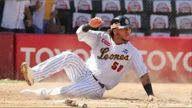 LVBP: Harold Ramírez sigue sin reportarse a los Leones del Caracas (+Detalles) LVBP: Harold Ramírez sigue sin reportarse a los Leones del Caracas (+Detalles)