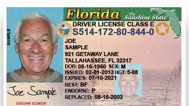 Licencia de conducir en Florida: Paso a paso para solicitarla