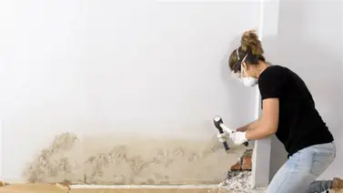 Descubre cómo eliminar manchas de humedad en la pared Descubre cómo eliminar manchas de humedad en la pared