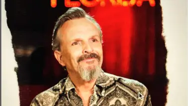 Cinco detenidos por el robo a la casa de Miguel Bosé Cinco detenidos por el robo a la casa de Miguel Bosé