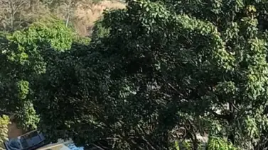 AHORA: Reportan aparatoso accidente en la bajada de Tazón este #29Dic (+IMÁGENES) AHORA: Reportan aparatoso accidente en la bajada de Tazón este #29Dic (+IMÁGENES)