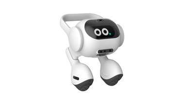 Presentan robot que se adapta al estado de ánimo del usuario