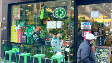 Nueva York entregará licencias para negocios de Marihuana