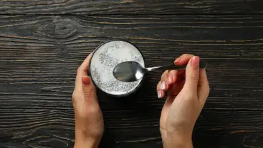 ¿Puedes comer semillas de chía durante el embarazo? ¿Puedes comer semillas de chía durante el embarazo?